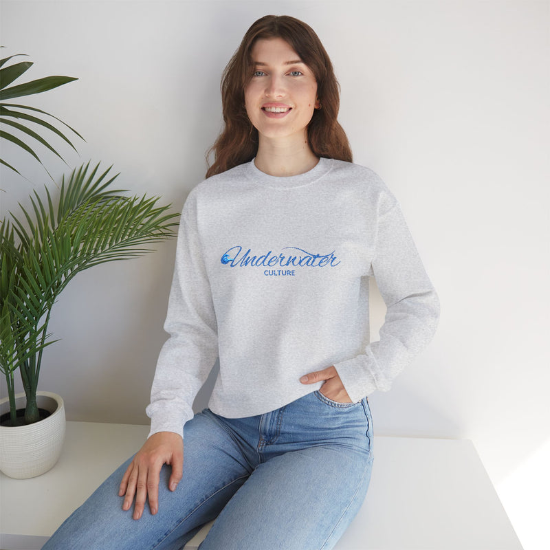 Underwater Culture Embroidered Sweatshirt