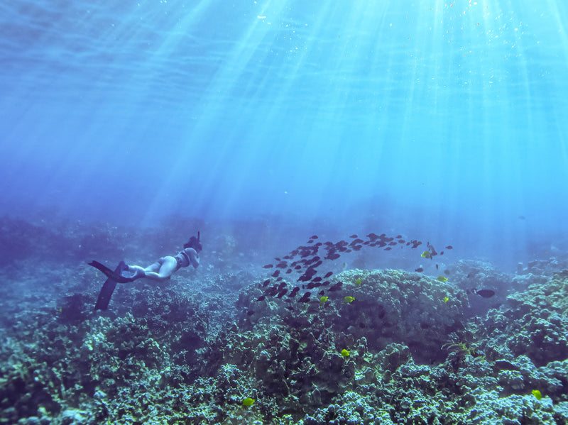 Ocean Blue Photoshoot Experience