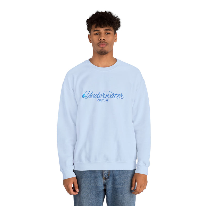 Underwater Culture Embroidered Sweatshirt